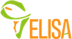 Elisa Partner